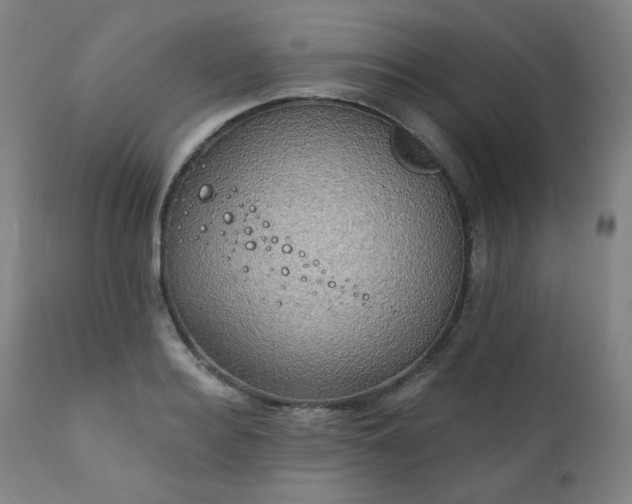 X0000111220940200907091308