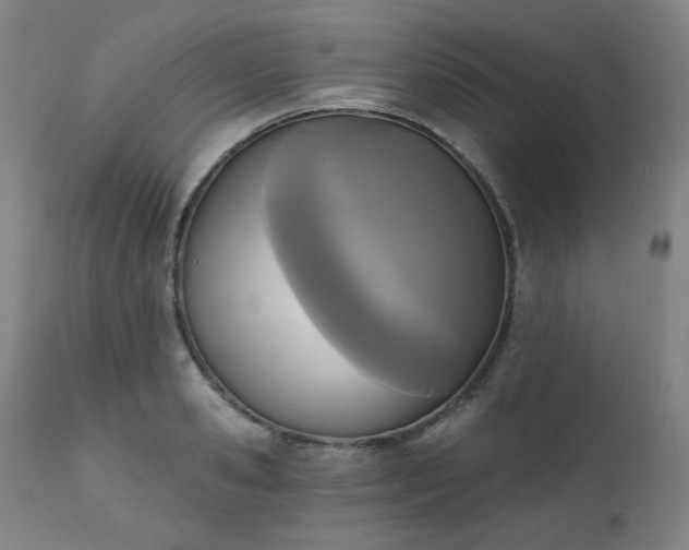 X0000111220941200907091308