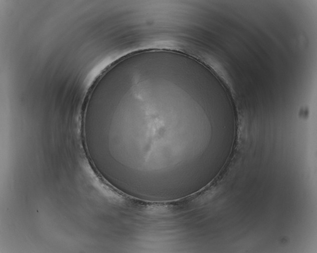 X0000111220944200907091308