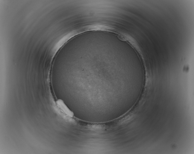 X0000111220946200907091308