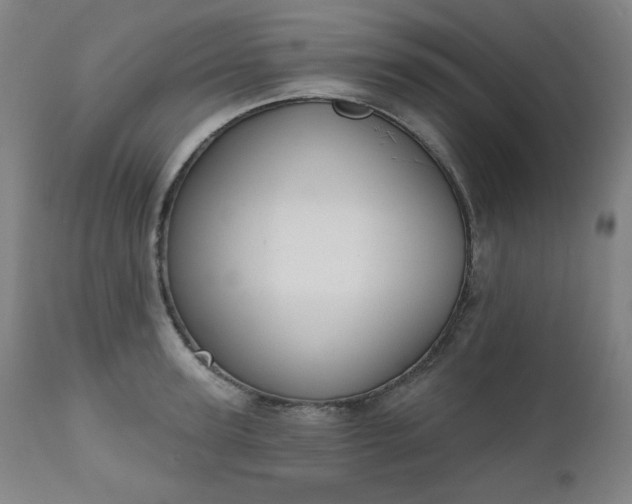 X0000111220947200907091308