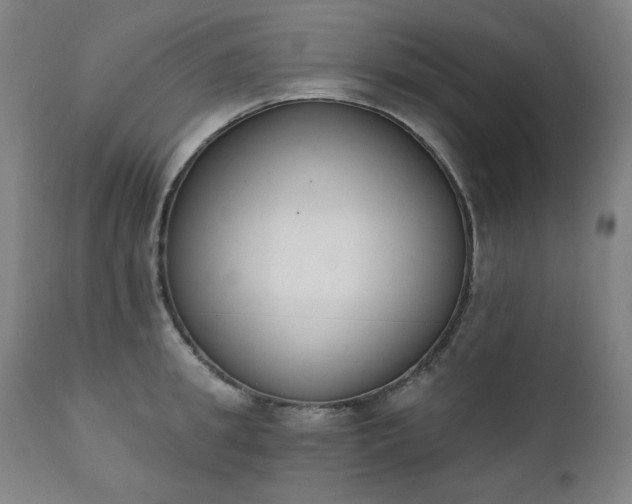 X0000111220949200907091308