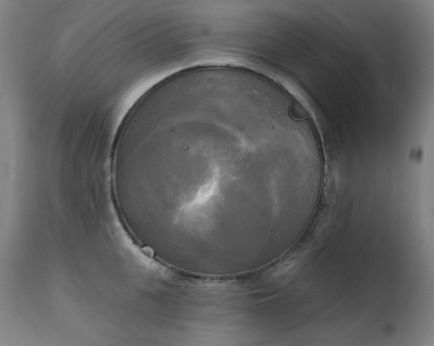 X0000111220951200907091308