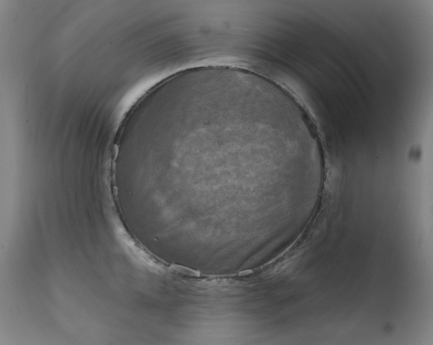 X0000111220952200907091308