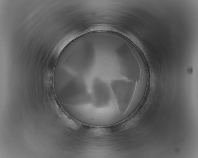 X0000111220953200907091308