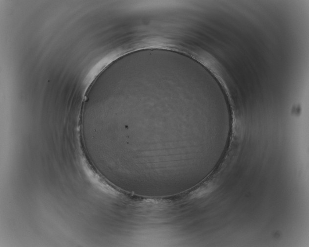 X0000111220954200907091308