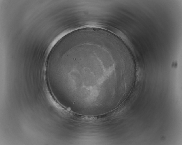 X0000111220955200907091308