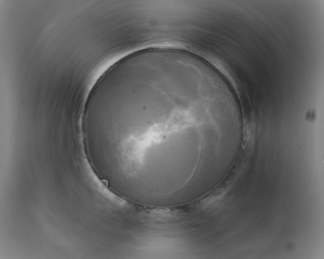X0000111220959200907091308