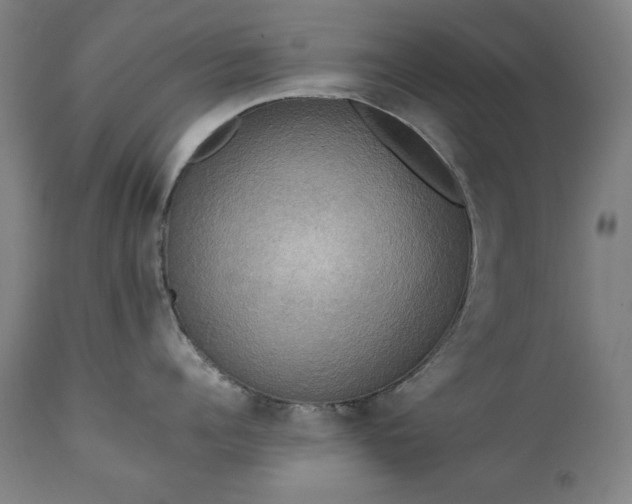 X0000111220960200907091308