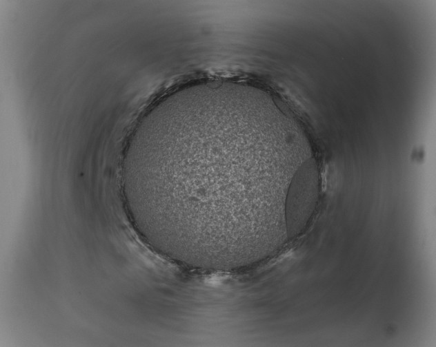 X0000111220961200907091308