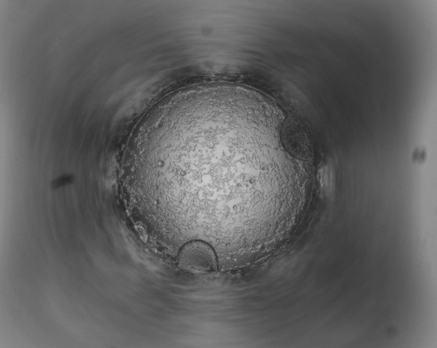 X0000111220963200907091308