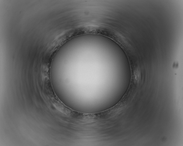 X0000111220964200907091308