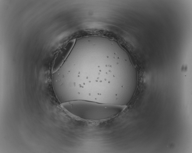 X0000111220965200907091308