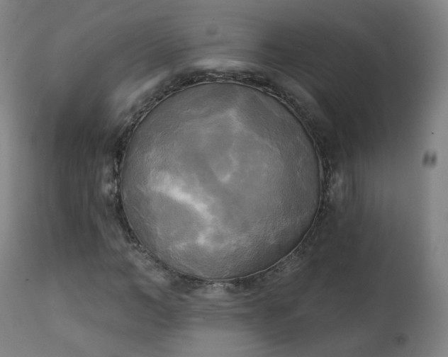 X0000111220966200907091308