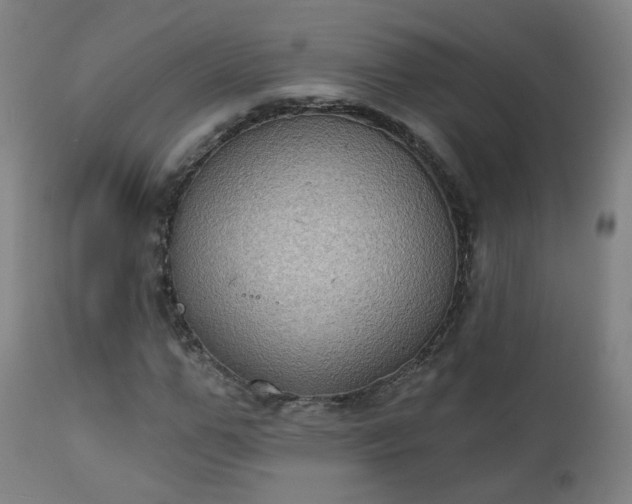 X0000111220967200907091308