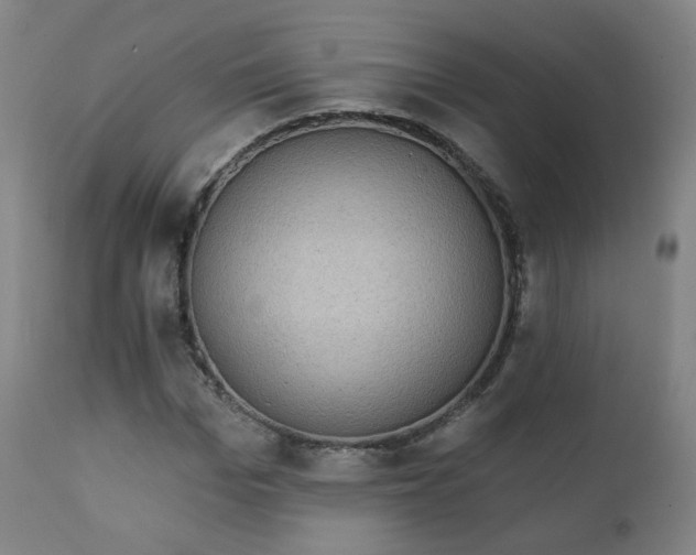 X0000111220969200907091308