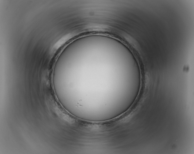 X0000111220970200907091308