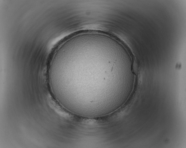 X0000111220971200907091307
