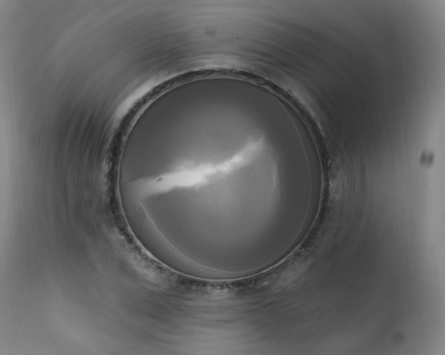 X0000111220975200907091307