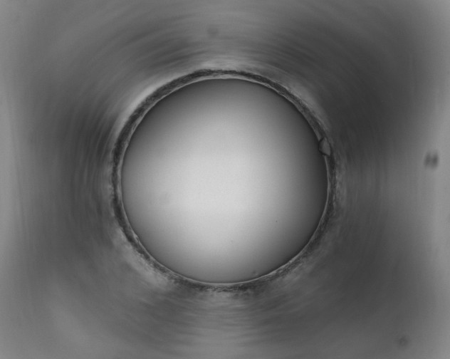 X0000111220976200907091307