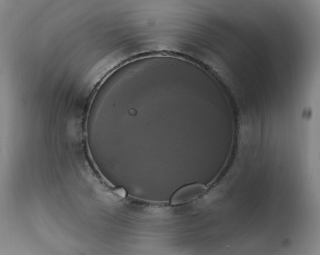 X0000111220977200907091307