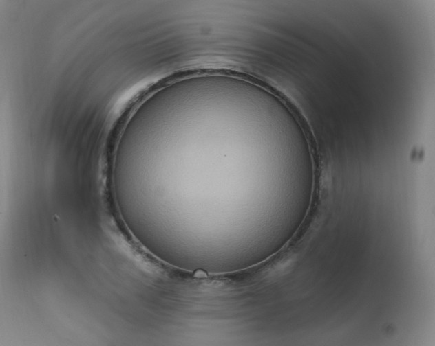 X0000111220979200907091307