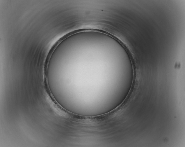 X0000111220980200907091307