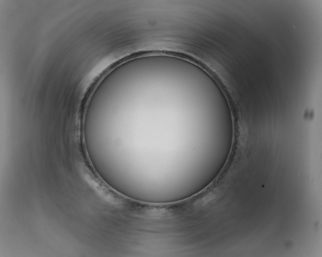 X0000111220982200907091307