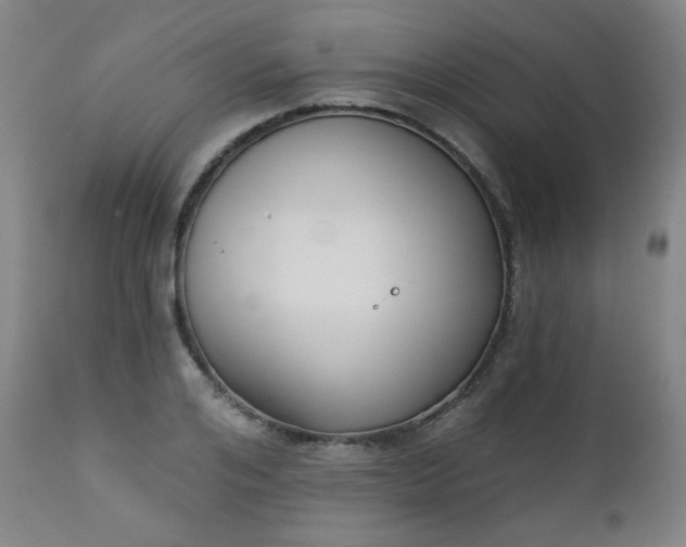 X0000111220984200907091307