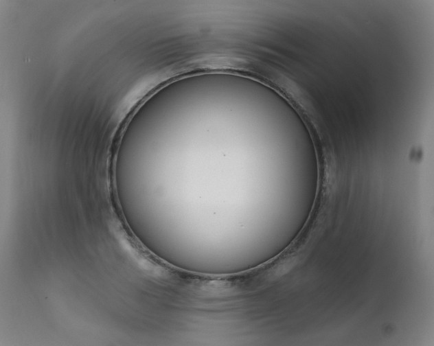 X0000111220986200907091307