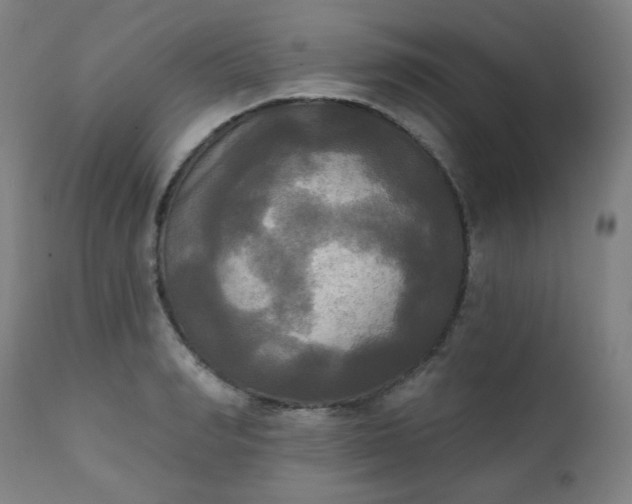 X0000111220990200907091307