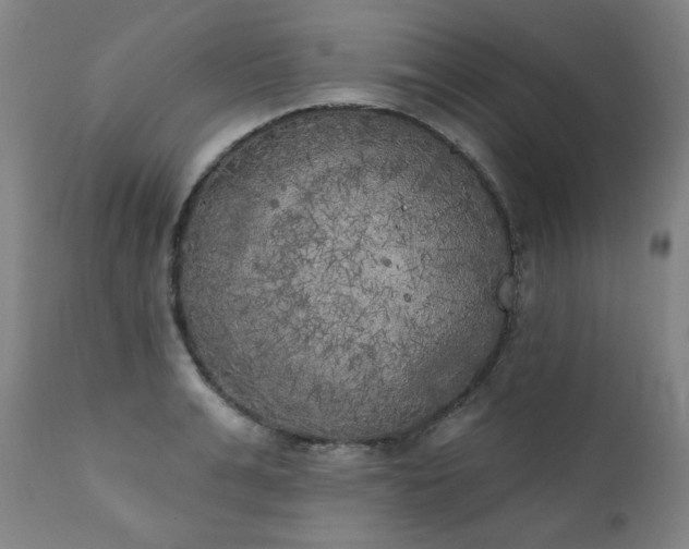 X0000111220991200907091307