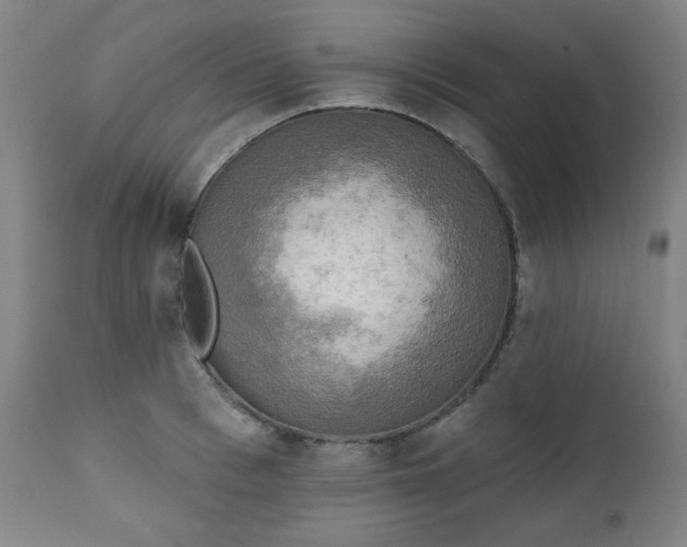 X0000111220993200907091307