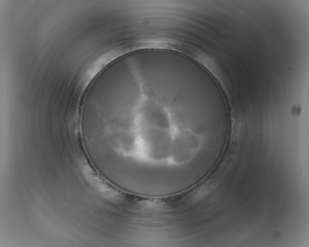 X0000111220994200907091307