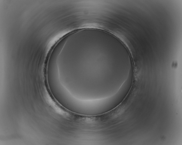 X0000111220995200907091307