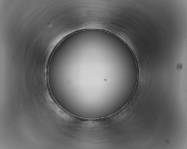 X0000111220996200907091307