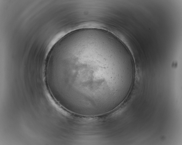 X0000111220997200907091307