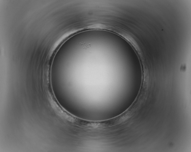 X0000111221000200907091307
