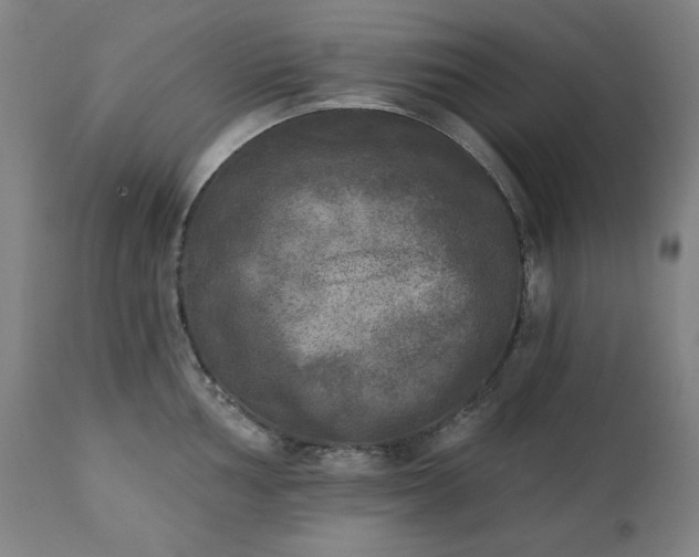 X0000111221002200907091307