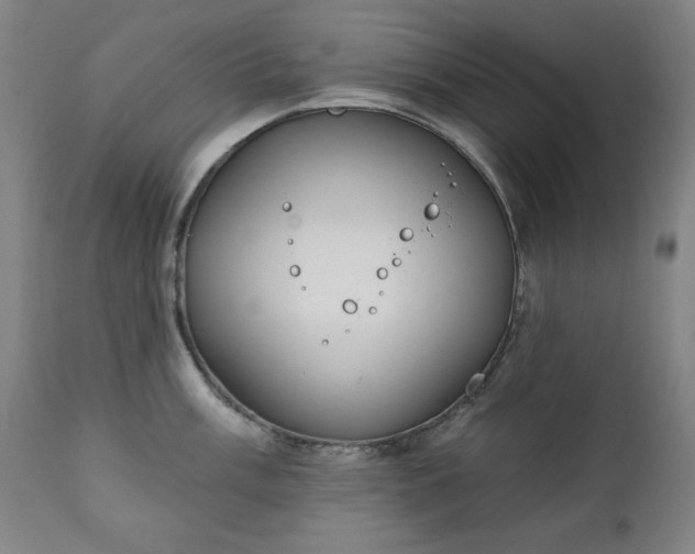 X0000111221003200907091307