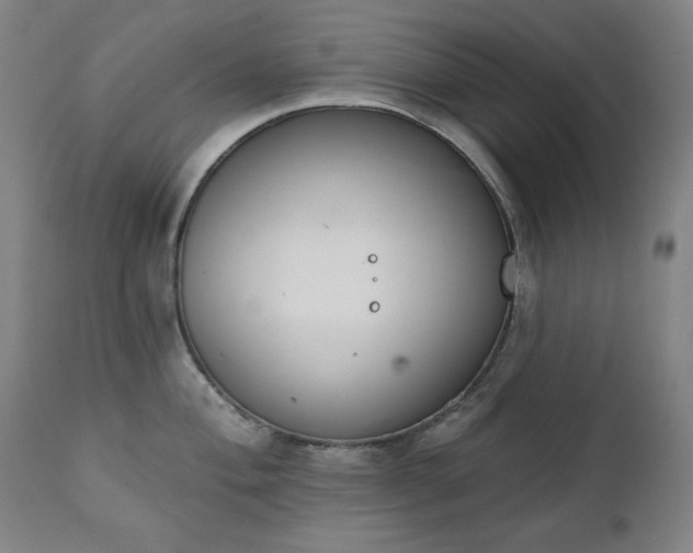 X0000111221004200907091307
