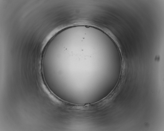 X0000111221005200907091307