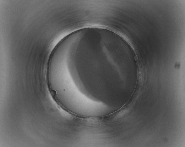 X0000111221007200907091307