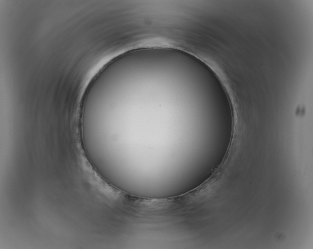 X0000111221008200907091307