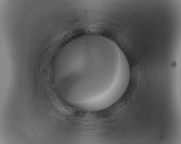 X0000111221009200907091306