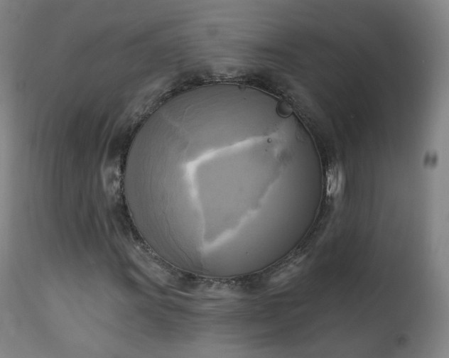 X0000111221011200907091306