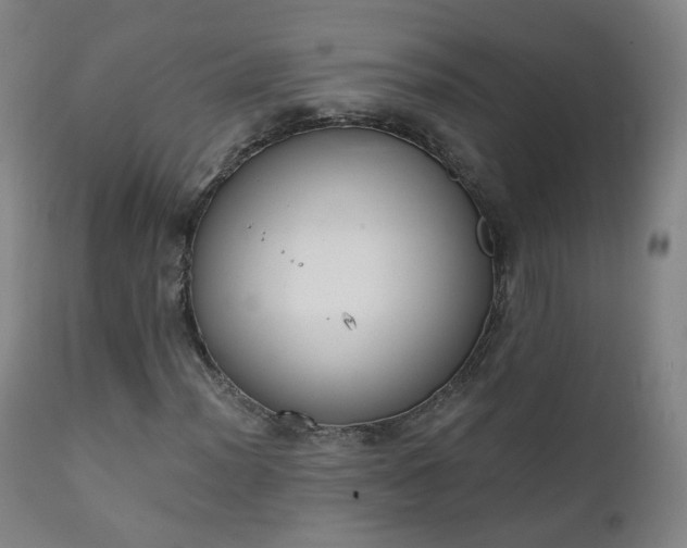 X0000111221012200907091306