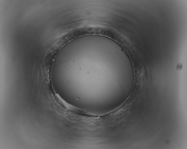 X0000111221013200907091306