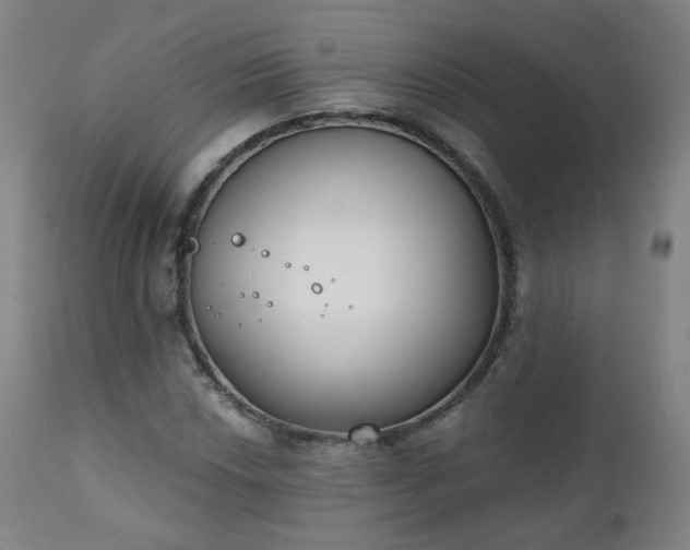 X0000111221018200907091306