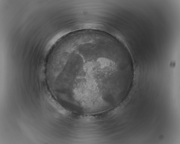 X0000111221019200907091306